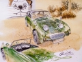 Frogeye Geschichte - Mein Austin Healey MK I - Frosch