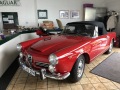Frogeye Geschichte - Mein Austin Healey MK I - Frosch