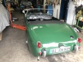 Frogeye Geschichte - Mein Austin Healey MK I - Frosch