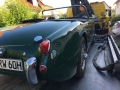 Frogeye Geschichte - Mein Austin Healey MK I - Frosch