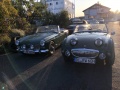 Frogeye Geschichte - Mein Austin Healey MK I - Frosch