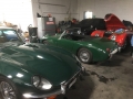 Frogeye Geschichte - Mein Austin Healey MK I - Frosch