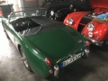 Frogeye Geschichte - Mein Austin Healey MK I - Frosch