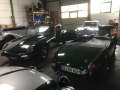 Frogeye Geschichte - Mein Austin Healey MK I - Frosch