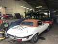 Frogeye Geschichte - Mein Austin Healey MK I - Frosch
