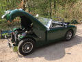 Frogeye Geschichte - Mein Austin Healey MK I - Frosch
