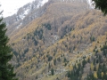 Rallye Storico del Tichino, Italienische Schweiz, 11/2009