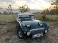 Frogeye Geschichte - Mein Austin Healey MK I - Frosch