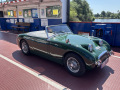 Frogeye Geschichte - Mein Austin Healey MK I - Frosch