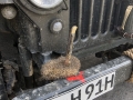Pfungstädter RTCE-Oldtimer-Treff 2019