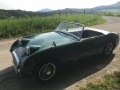 Frogeye Geschichte - Mein Austin Healey MK I - Frosch