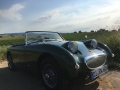 Frogeye Geschichte - Mein Austin Healey MK I - Frosch