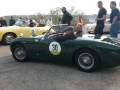 Frogeye Geschichte - Mein Austin Healey MK I - Frosch