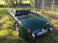 Frogeye Geschichte - Mein Austin Healey MK I - Frosch