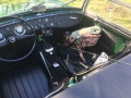 Frogeye Geschichte - Mein Austin Healey MK I - Frosch
