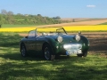 Frogeye Geschichte - Mein Austin Healey MK I - Frosch
