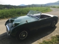 Frogeye Geschichte - Mein Austin Healey MK I - Frosch