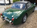 Frogeye Geschichte - Mein Austin Healey MK I - Frosch