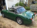 Frogeye Geschichte - Mein Austin Healey MK I - Frosch