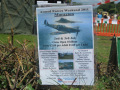 Armed Forces Weekend Marazion