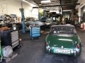 Frogeye Geschichte - Mein Austin Healey MK I - Frosch