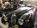 Frogeye Geschichte - Mein Austin Healey MK I - Frosch