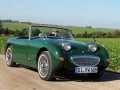 Frogeye Geschichte - Mein Austin Healey MK I - Frosch