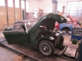 Frogeye Geschichte - Mein Austin Healey MK I - Frosch