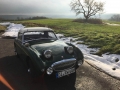 Frogeye Historie