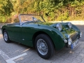 Frogeye Historie