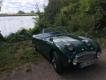 Frogeye Geschichte - Mein Austin Healey MK I - Frosch