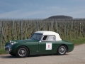 Frogeye Historie