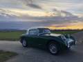 Frogeye Geschichte - Mein Austin Healey MK I - Frosch
