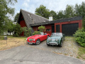 Frogeye Historie