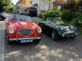 Frogeye Historie