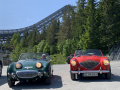 Frogeye Historie