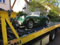 Frogeye Geschichte - Mein Austin Healey MK I - Frosch