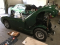 Frogeye Historie