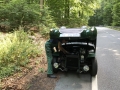 Frogeye Geschichte - Mein Austin Healey MK I - Frosch