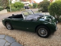 Frogeye Geschichte - Mein Austin Healey MK I - Frosch