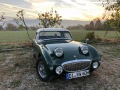 Frogeye Geschichte - Mein Austin Healey MK I - Frosch