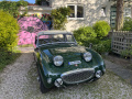 Frogeye Historie