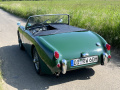 Frogeye Historie