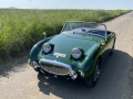 Frogeye Historie