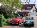 Frogeye Historie