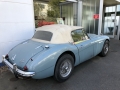 Frogeye Geschichte - Mein Austin Healey MK I - Frosch