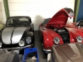 Frogeye Geschichte - Mein Austin Healey MK I - Frosch