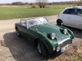 Frogeye Geschichte - Mein Austin Healey MK I - Frosch