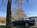 Frogeye Geschichte - Mein Austin Healey MK I - Frosch