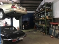 Frogeye Geschichte - Mein Austin Healey MK I - Frosch